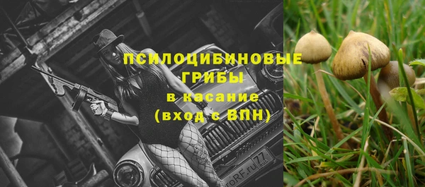 твердый Верхний Тагил